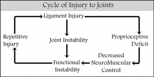 Cycle of Injury to a Spinal Joint